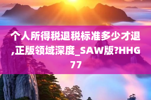 个人所得税退税标准多少才退,正版领域深度_SAW版?HHG77