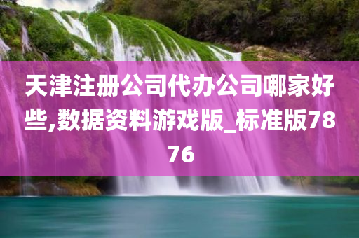 天津注册公司代办公司哪家好些,数据资料游戏版_标准版7876