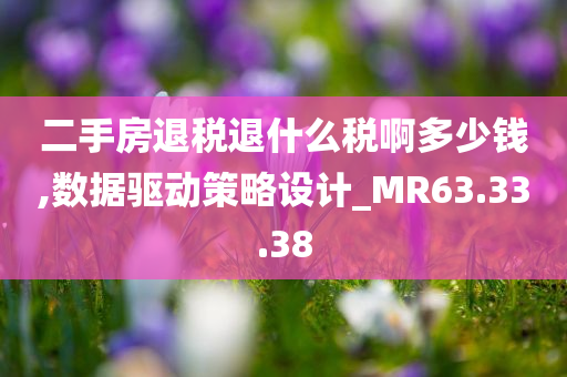 二手房退税退什么税啊多少钱,数据驱动策略设计_MR63.33.38