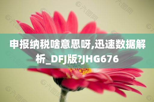 申报纳税啥意思呀,迅速数据解析_DFJ版?JHG676