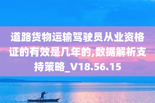 道路货物运输驾驶员从业资格证的有效是几年的,数据解析支持策略_V18.56.15