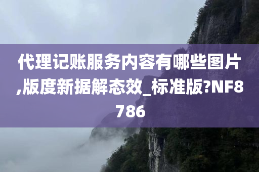 代理记账服务内容有哪些图片,版度新据解态效_标准版?NF8786