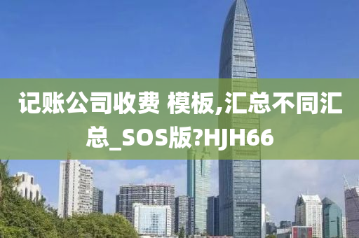 记账公司收费 模板,汇总不同汇总_SOS版?HJH66