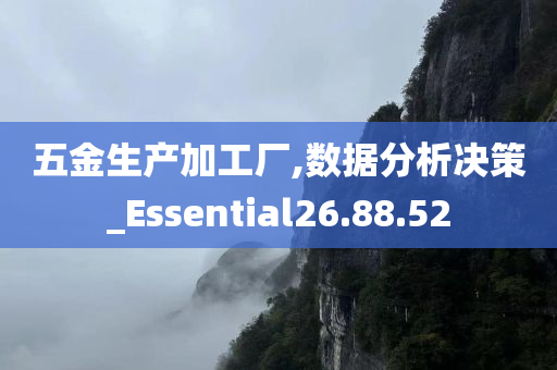 五金生产加工厂,数据分析决策_Essential26.88.52