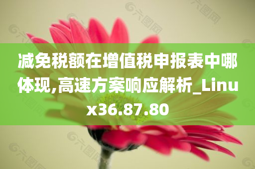 减免税额在增值税申报表中哪体现,高速方案响应解析_Linux36.87.80