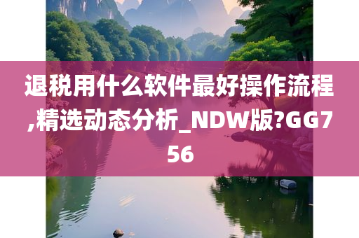 退税用什么软件最好操作流程,精选动态分析_NDW版?GG756