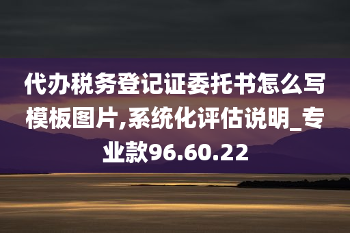 代办税务登记证委托书怎么写模板图片,系统化评估说明_专业款96.60.22