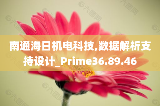 南通海日机电科技,数据解析支持设计_Prime36.89.46