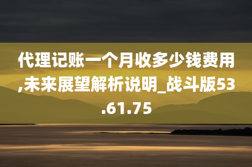 代理记账一个月收多少钱费用,未来展望解析说明_战斗版53.61.75