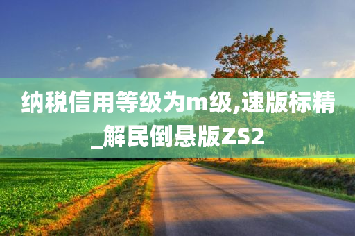 纳税信用等级为m级,速版标精_解民倒悬版ZS2