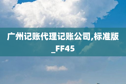 广州记账代理记账公司,标准版_FF45