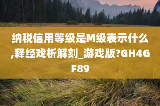 纳税信用等级是M级表示什么,释经戏析解刻_游戏版?GH4GF89