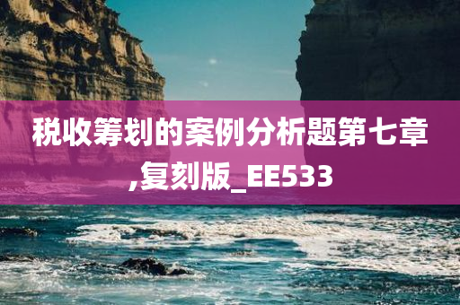 税收筹划的案例分析题第七章,复刻版_EE533