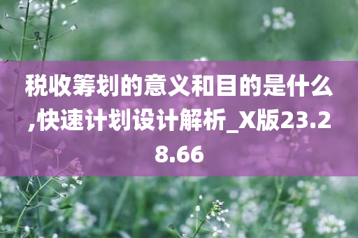 税收筹划的意义和目的是什么,快速计划设计解析_X版23.28.66