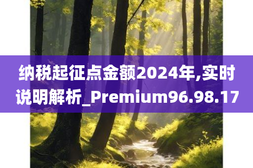 纳税起征点金额2024年,实时说明解析_Premium96.98.17