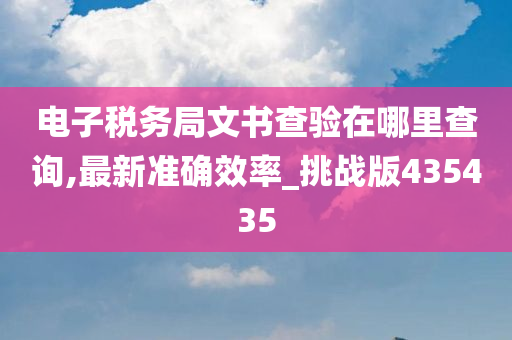 电子税务局文书查验在哪里查询,最新准确效率_挑战版435435