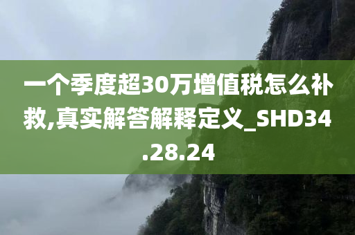 一个季度超30万增值税怎么补救,真实解答解释定义_SHD34.28.24