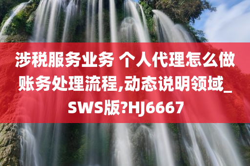 涉税服务业务 个人代理怎么做账务处理流程,动态说明领域_SWS版?HJ6667