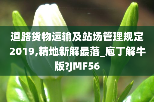 道路货物运输及站场管理规定2019,精地新解最落_庖丁解牛版?JMF56