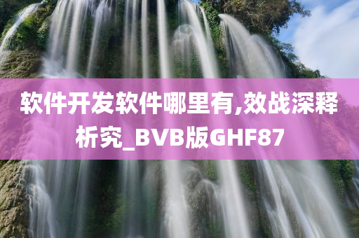 软件开发软件哪里有,效战深释析究_BVB版GHF87