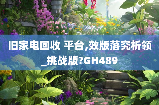 旧家电回收 平台,效版落究析领_挑战版?GH489