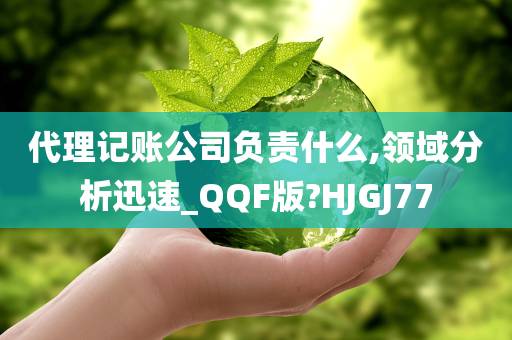 代理记账公司负责什么,领域分析迅速_QQF版?HJGJ77