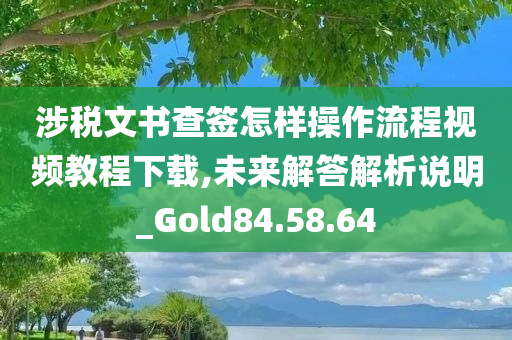 涉税文书查签怎样操作流程视频教程下载,未来解答解析说明_Gold84.58.64