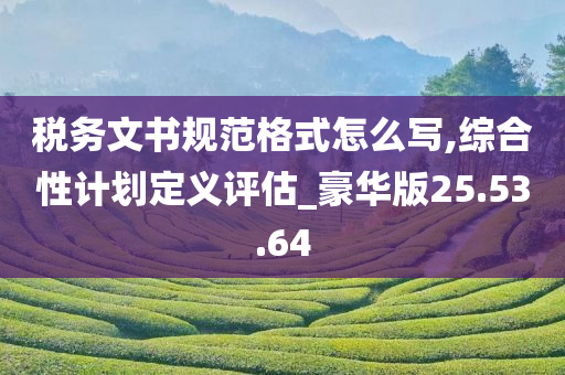 税务文书规范格式怎么写,综合性计划定义评估_豪华版25.53.64