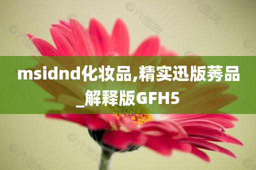 msidnd化妆品,精实迅版莠品_解释版GFH5