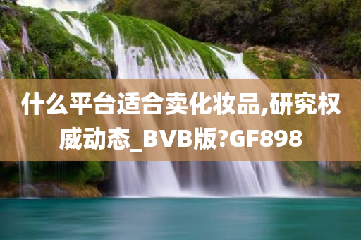 什么平台适合卖化妆品,研究权威动态_BVB版?GF898