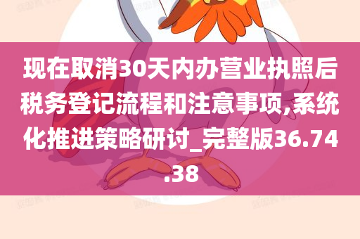 现在取消30天内办营业执照后税务登记流程和注意事项,系统化推进策略研讨_完整版36.74.38