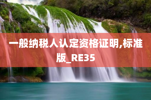 一般纳税人认定资格证明,标准版_RE35