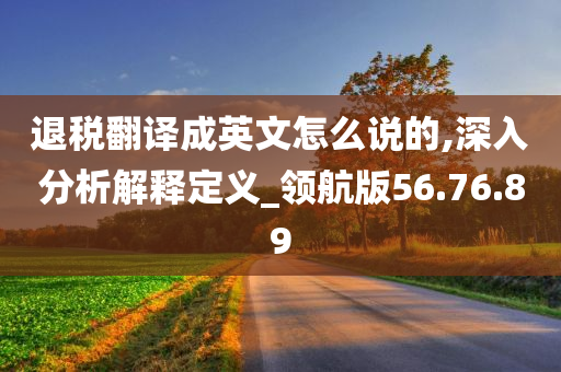 退税翻译成英文怎么说的,深入分析解释定义_领航版56.76.89