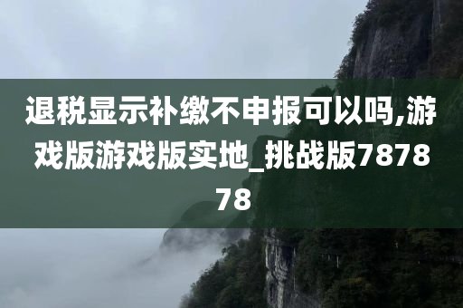 退税显示补缴不申报可以吗,游戏版游戏版实地_挑战版787878