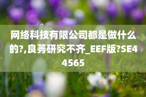 网络科技有限公司都是做什么的?,良莠研究不齐_EEF版?SE44565