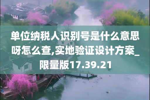 单位纳税人识别号是什么意思呀怎么查,实地验证设计方案_限量版17.39.21