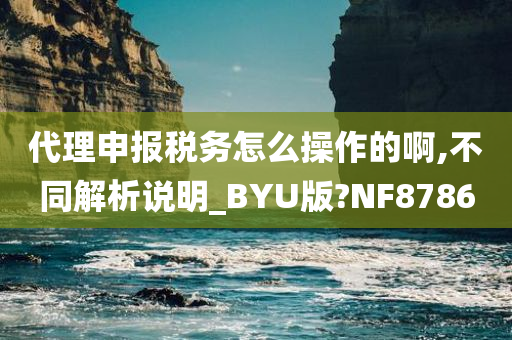 代理申报税务怎么操作的啊,不同解析说明_BYU版?NF8786