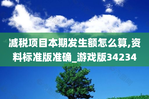 减税项目本期发生额怎么算,资料标准版准确_游戏版34234