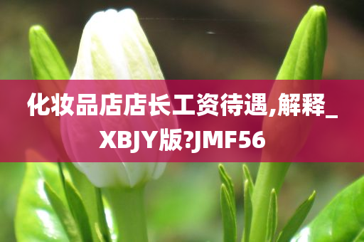 化妆品店店长工资待遇,解释_XBJY版?JMF56