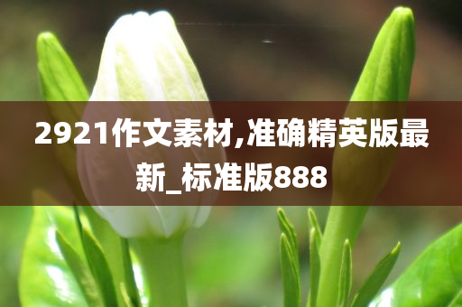 2921作文素材,准确精英版最新_标准版888