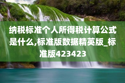 纳税标准个人所得税计算公式是什么,标准版数据精英版_标准版423423