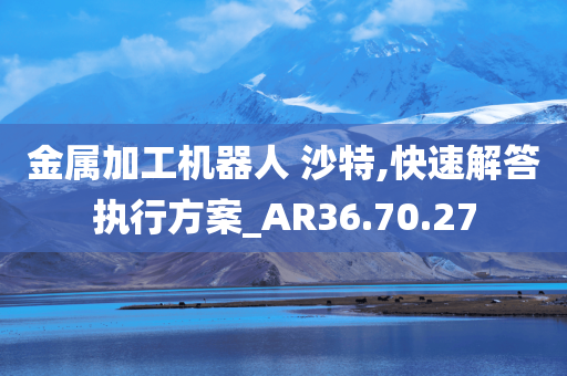 金属加工机器人 沙特,快速解答执行方案_AR36.70.27