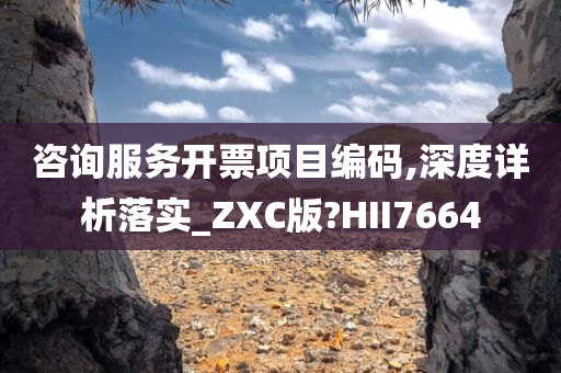 咨询服务开票项目编码,深度详析落实_ZXC版?HII7664