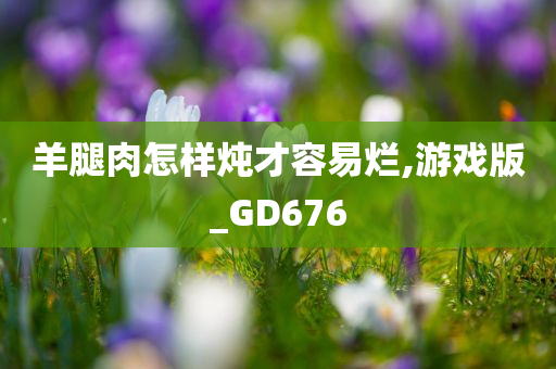 羊腿肉怎样炖才容易烂,游戏版_GD676