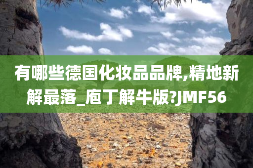 有哪些德国化妆品品牌,精地新解最落_庖丁解牛版?JMF56