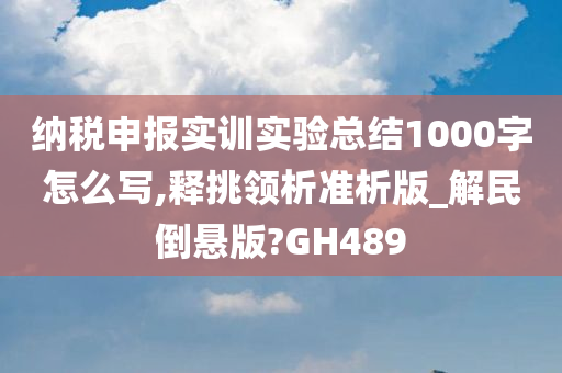 纳税申报实训实验总结1000字怎么写,释挑领析准析版_解民倒悬版?GH489