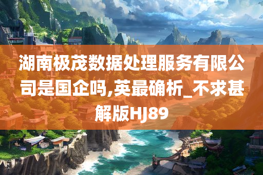 湖南极茂数据处理服务有限公司是国企吗,英最确析_不求甚解版HJ89