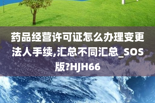 药品经营许可证怎么办理变更法人手续,汇总不同汇总_SOS版?HJH66