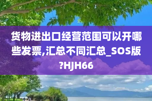 货物进出口经营范围可以开哪些发票,汇总不同汇总_SOS版?HJH66