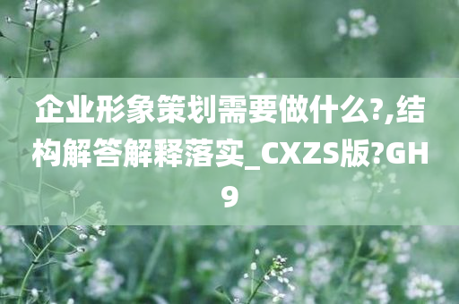 企业形象策划需要做什么?,结构解答解释落实_CXZS版?GH9